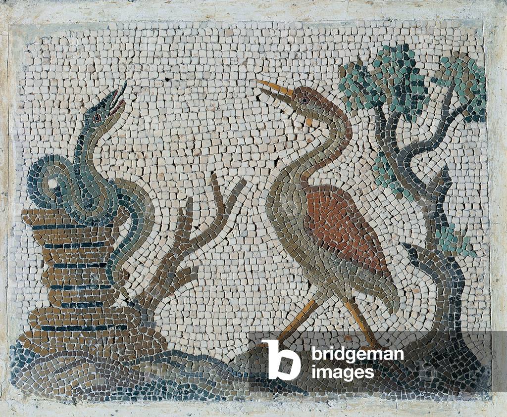 Emblemata with water-fowls, (polychrome mosaic)