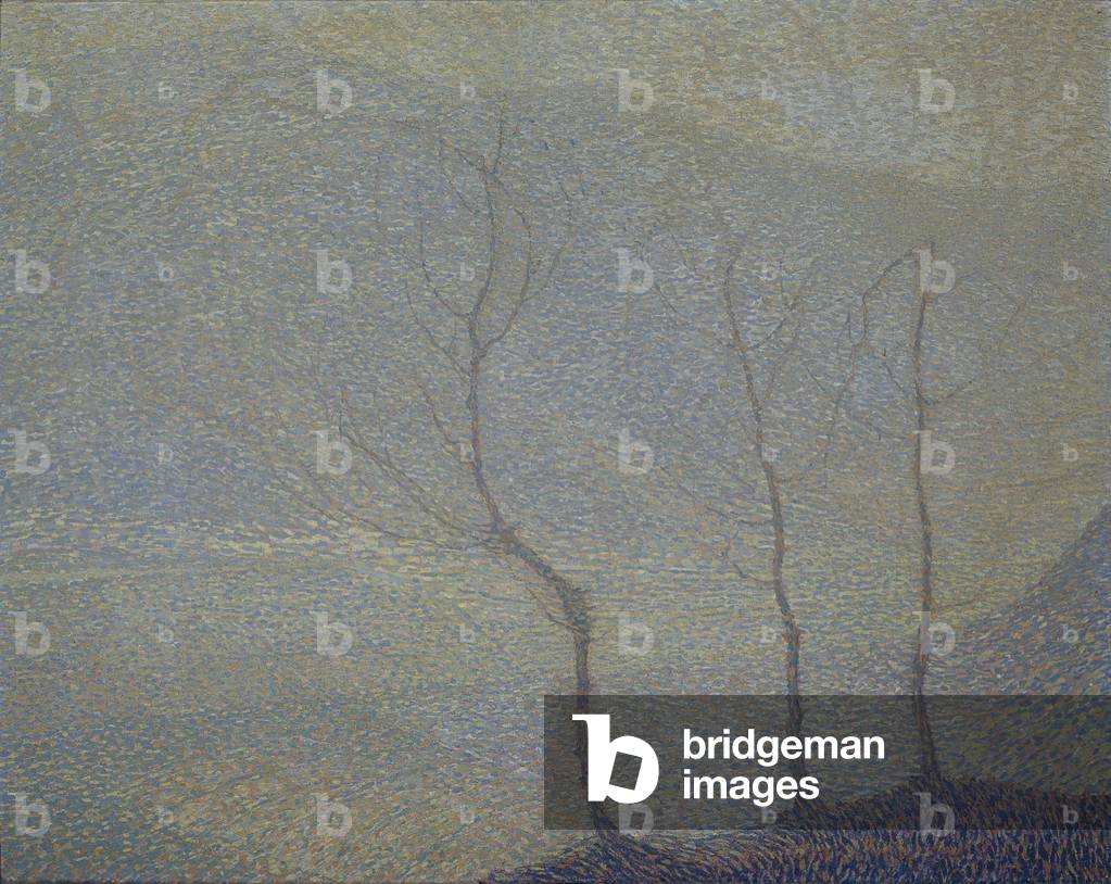 Birch Trees in Adige Valley, 1908 (oil on canvas)