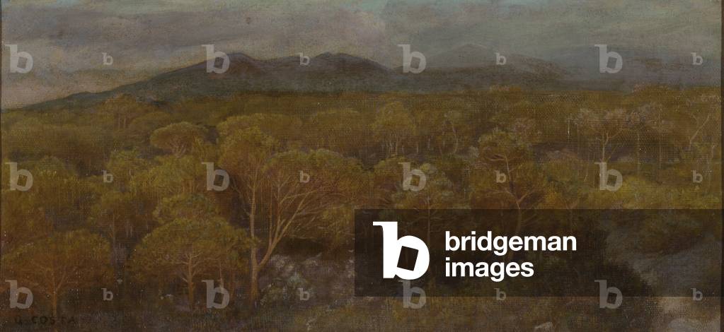 The Last Kiss of the Sun to the Pinewood, 19th century (oil on canvas)