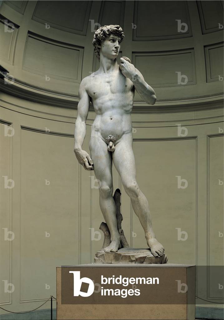 David, 1501-04 (marble)
