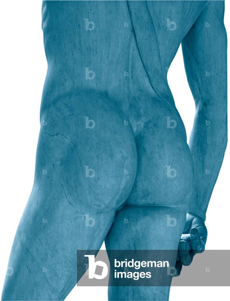 David, 1501 - 1504 (full relief marble)