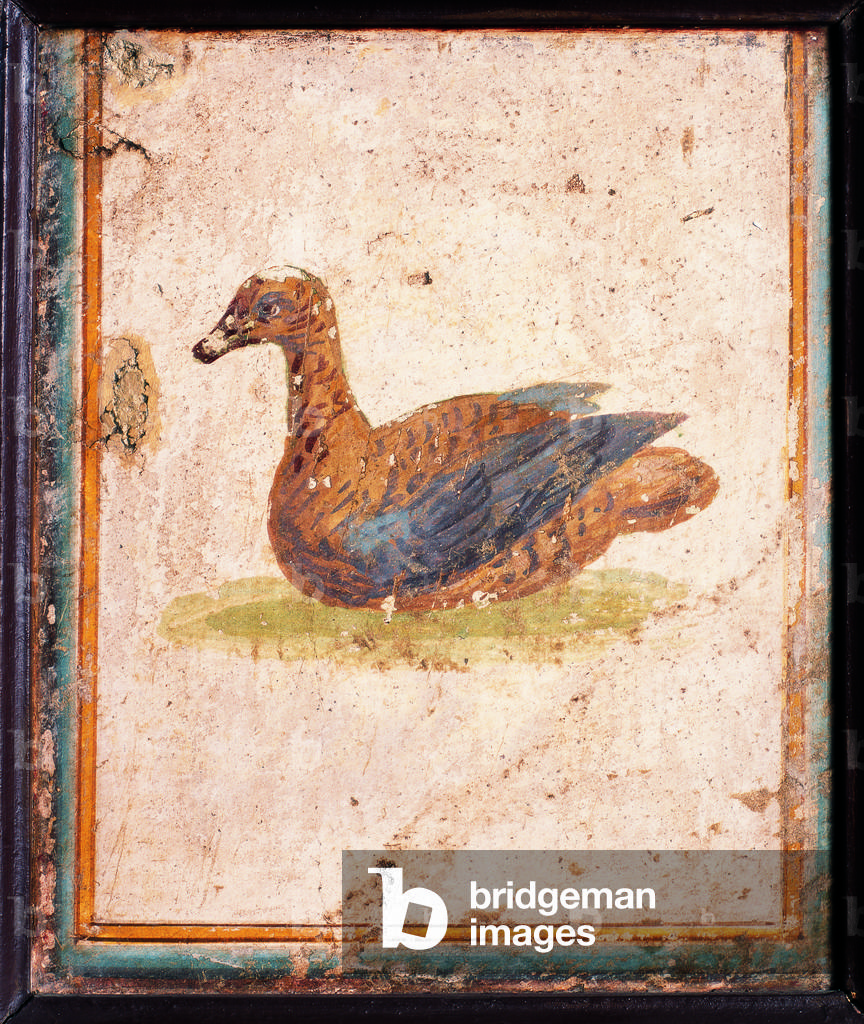 Bird, by unknown artist, 10-45, 1st Century A.D., ripped fresco, 26 x 22 cm
