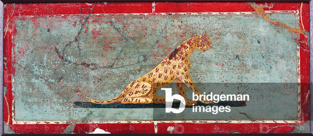 Panther, by unknown artist, 1-37, 1st Century A.D., ripped fresco, 21 x 47 cm