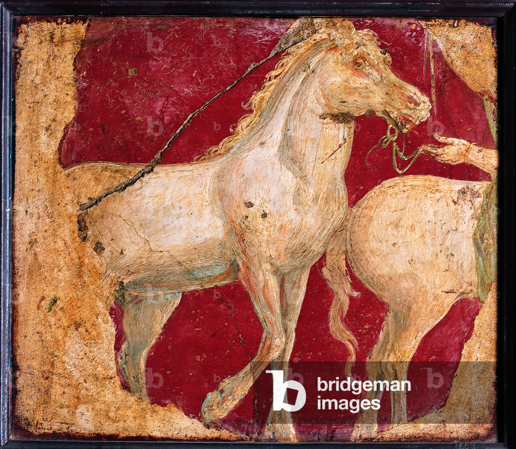 Two Horses, by unknown artist, 10-37, 1st Century A.D., ripped fresco, 34 x 39 cm