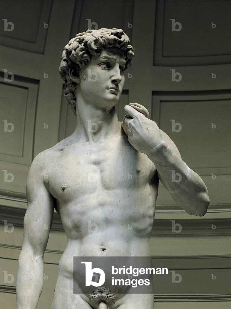 David, 1501 - 1504 (full relief marble)