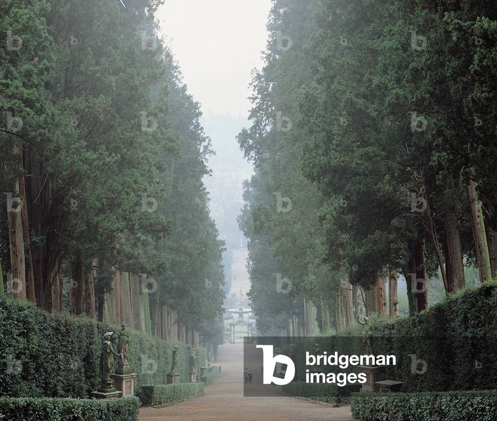 The walk in the Boboli gardens know as the Viottolone,