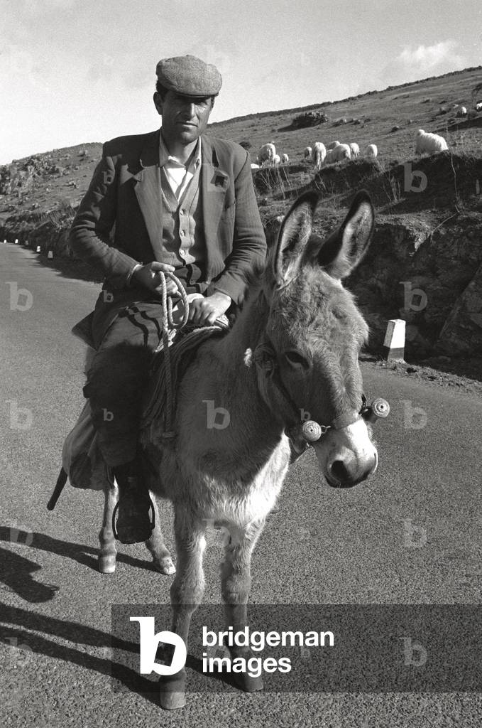 A shepherd on donkey-back in Barbagia (b/w photo)