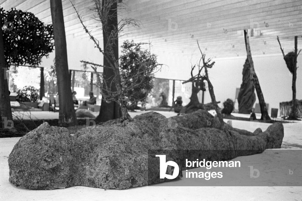 A vegetal sculpture made of roots and soil