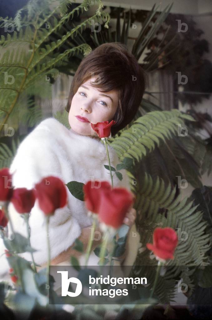 Shirley Mac Laine posing, USA, 1964 (photo)