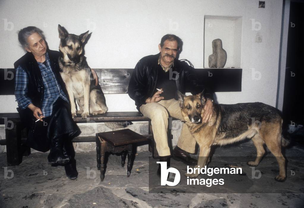 Elderly people with dogs