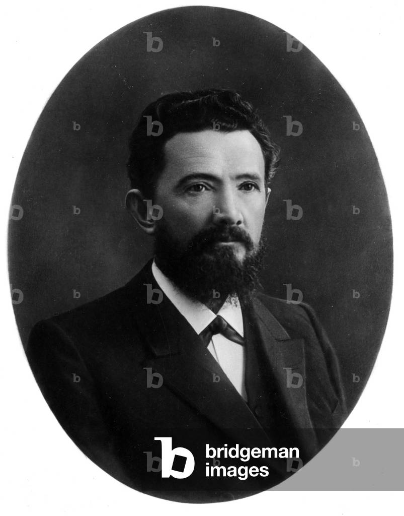 Portrait of Vladimir Ivanovich Palladin