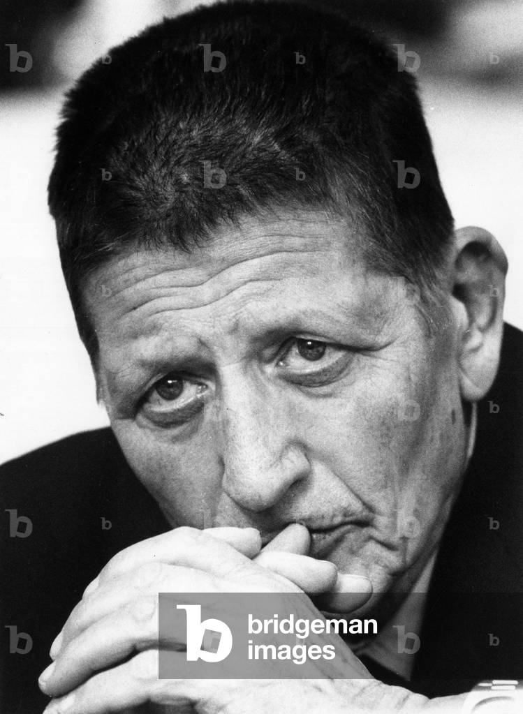 Portrait of Giorgio Amendola