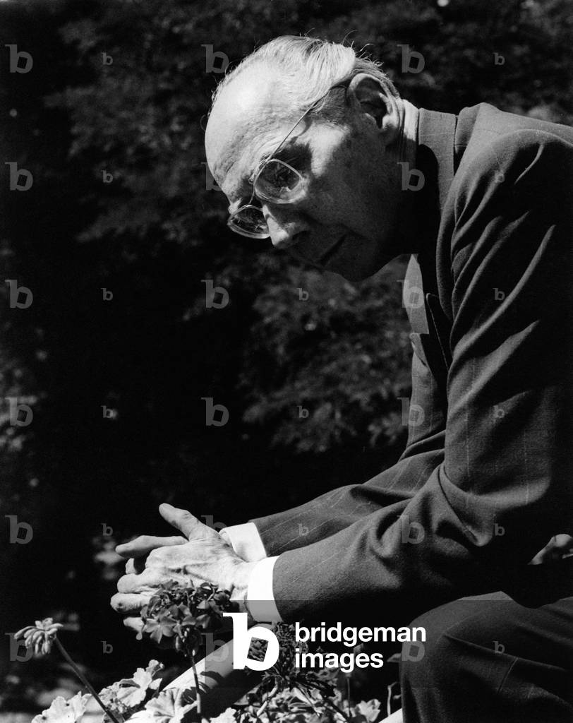 Cesare Frugoni leaning on a parapet