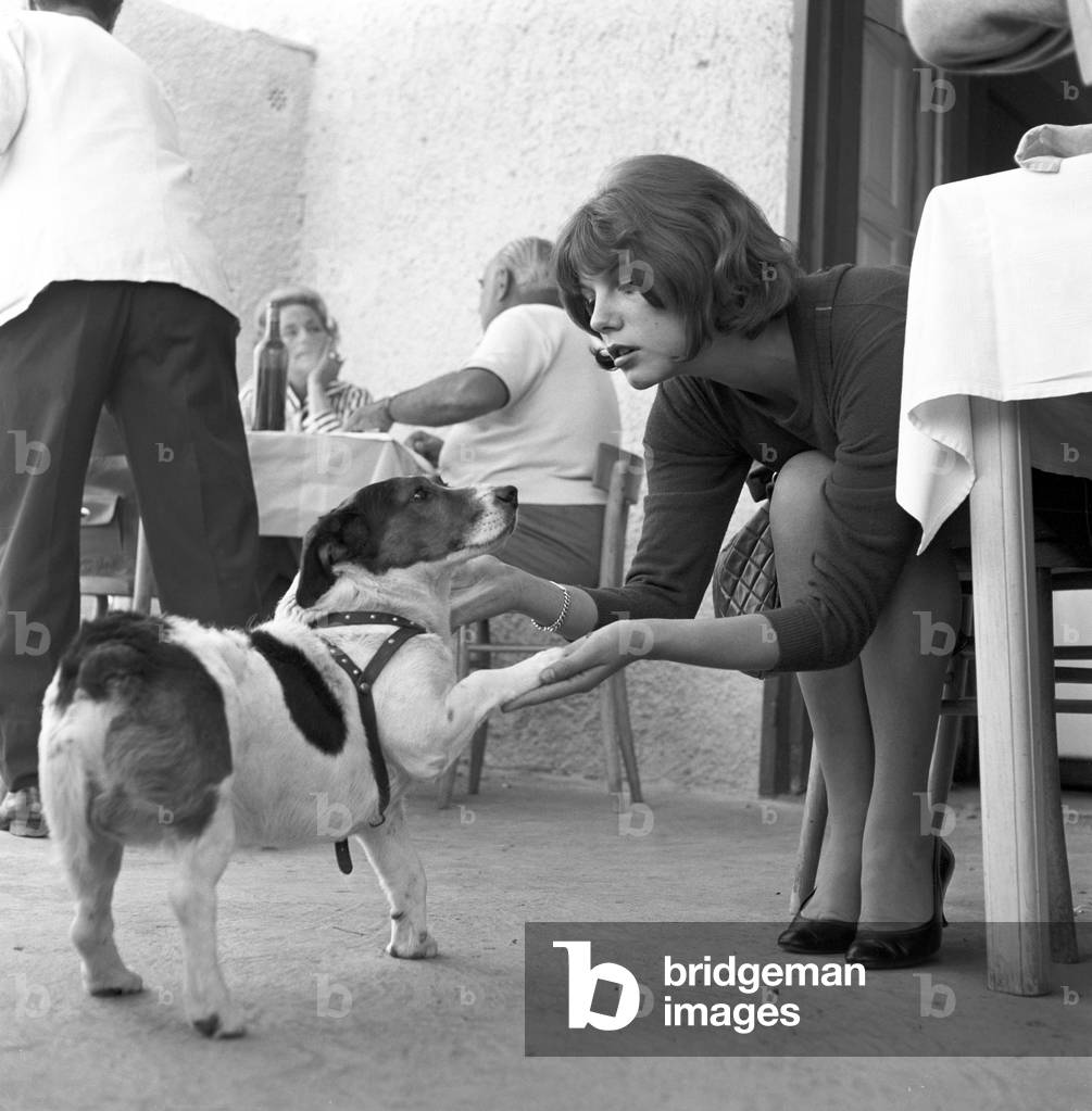 Stefania Sandrelli playing with a dog, Italy, 1965 (b/w photo)