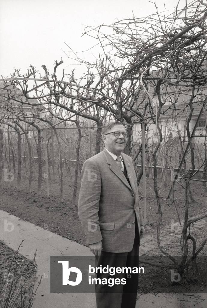 A man under the pergola in his home garden