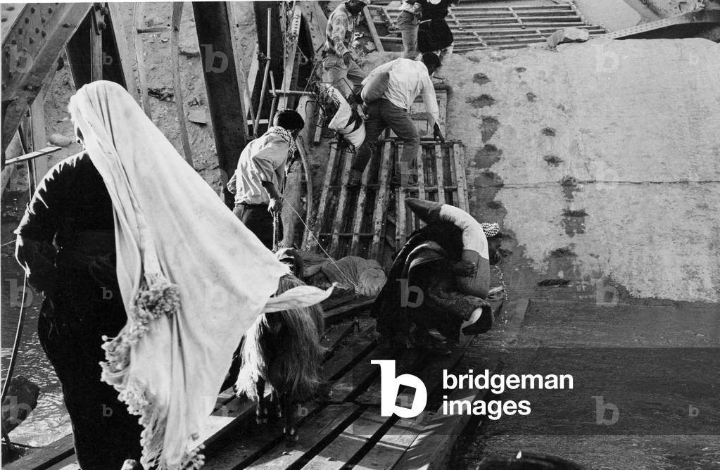Civilian refugees crossing the destroyed Allenby bridge