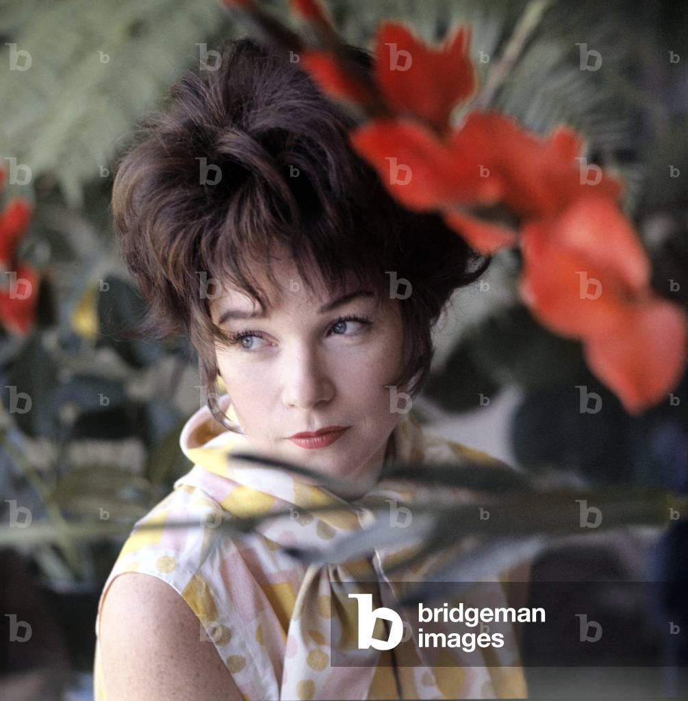 Shirley Mac Laine posing, USA, 1964 (photo)