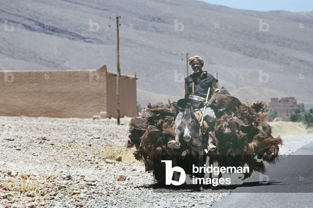 Man riding a donkey, Morocco, 1997 (photo)