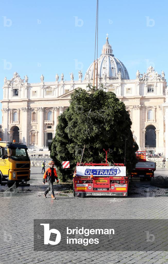 Christmas tree in Vatican City, Holy See, 2017 (photo)