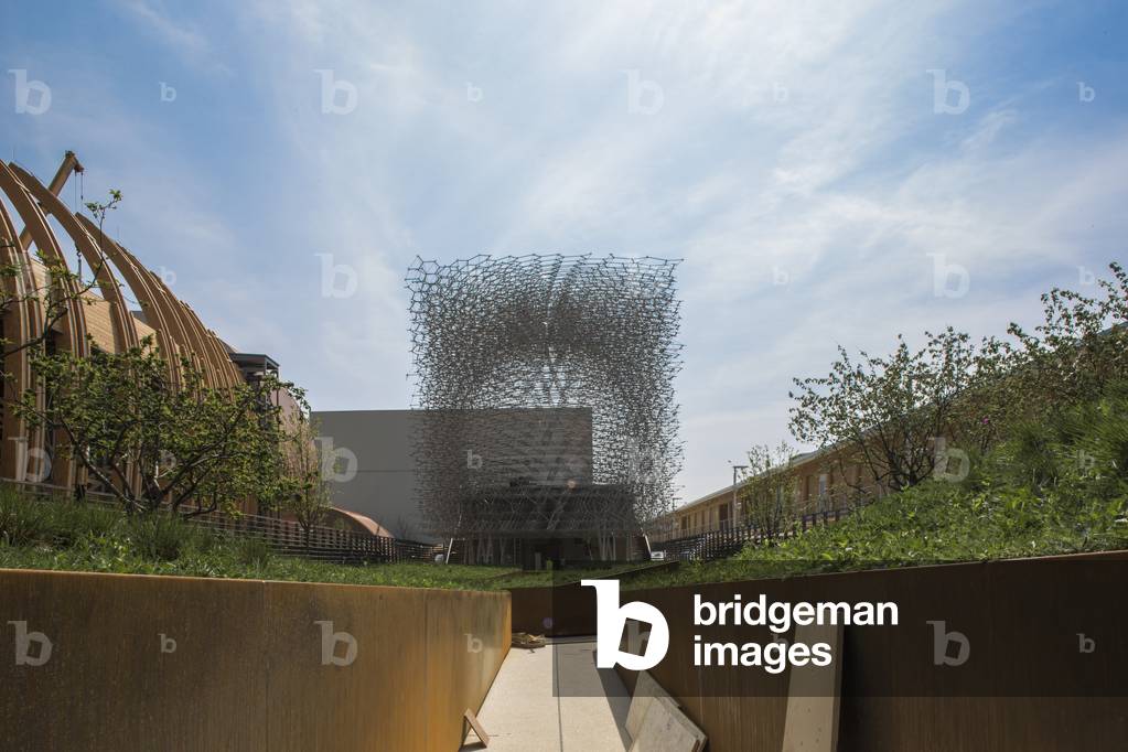United Kingdom by Wolfgang Buttress, Expo 2015, Milan, Italy, 2015 (photo)
