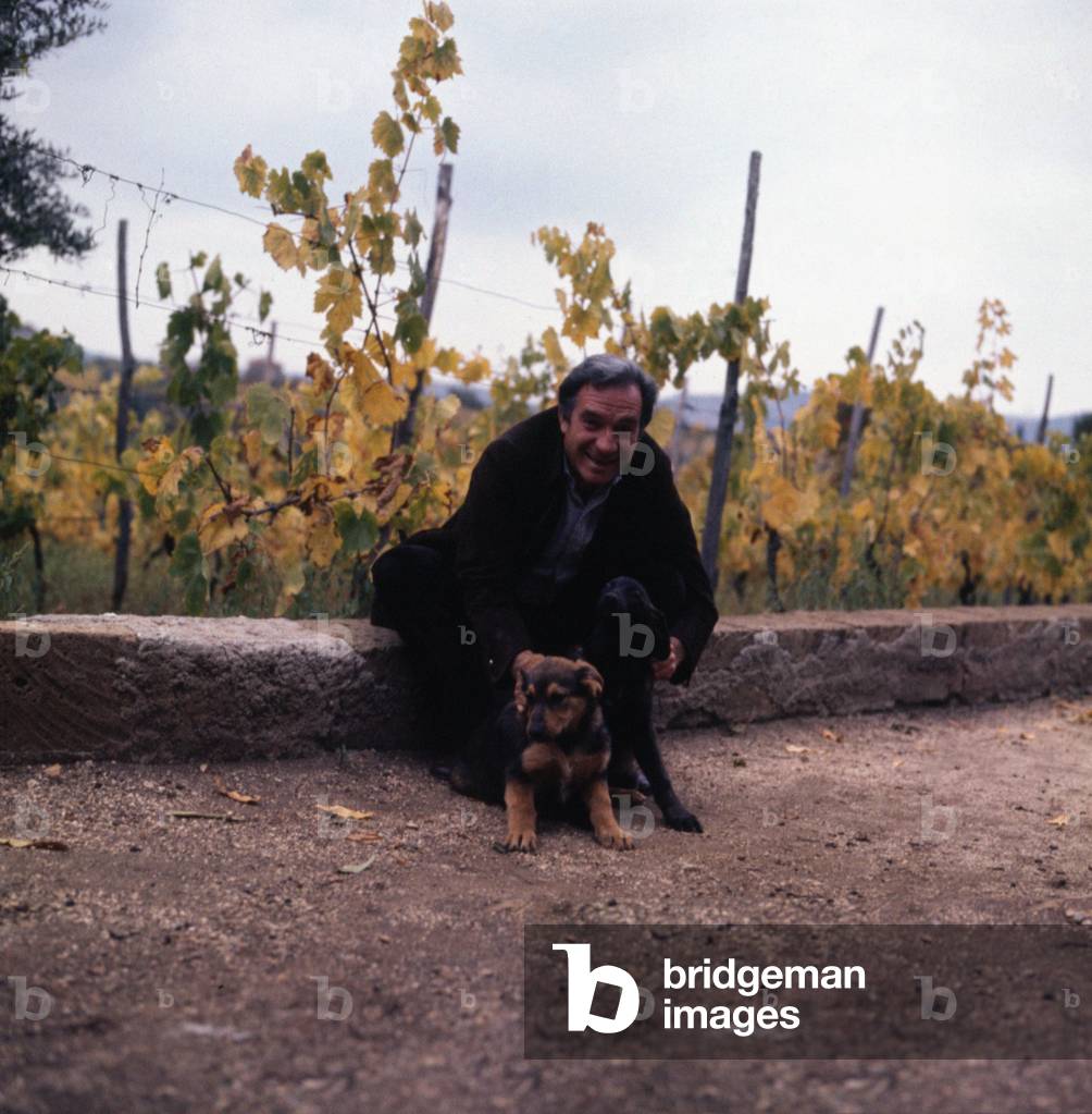 Ugo Tognazzi caressing two puppies, Velletri, Italy