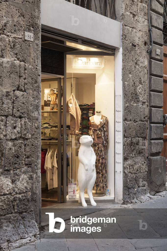 ReGeneration Siena (Rigeneramento Siena), by Cracking Art Group, Siena, Italy, 9th September 2015 (photo)