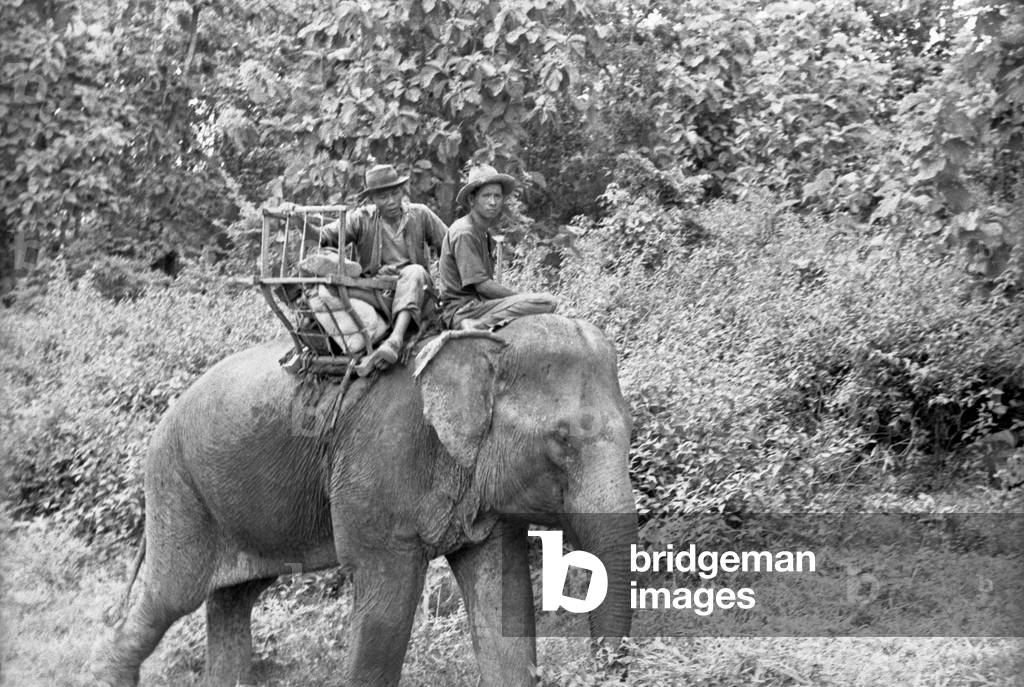 Two Thai men riding an elephant, Bangkok, 1961 (b/w photo)