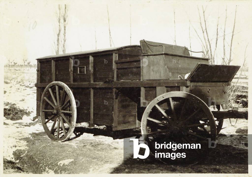 Torre Zuino; cattle truck for animal transport, Torviscosa, Italy
