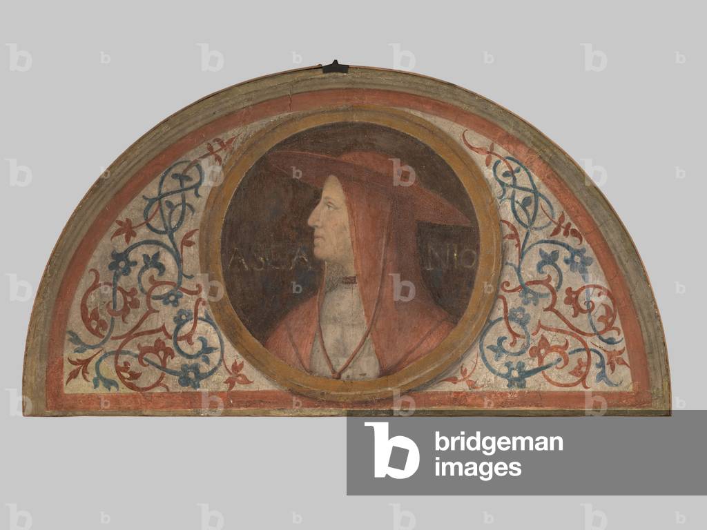 Ascanio Sforza, 1522-1526 (fresco)