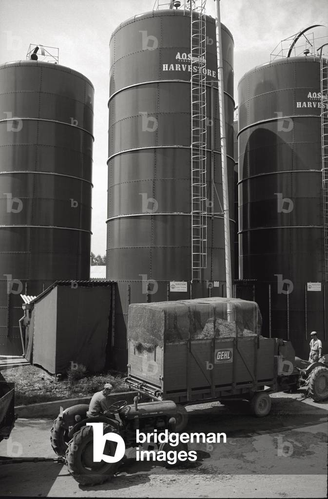 Silos of a farm