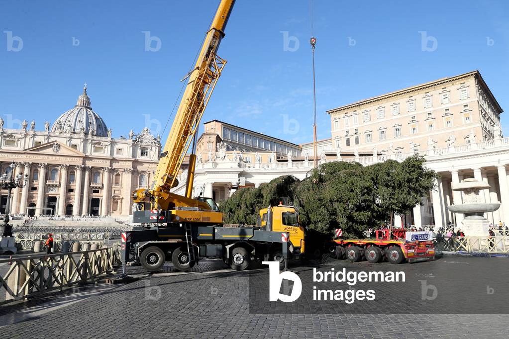 Christmas tree in Vatican City, Holy See, 2017 (photo)