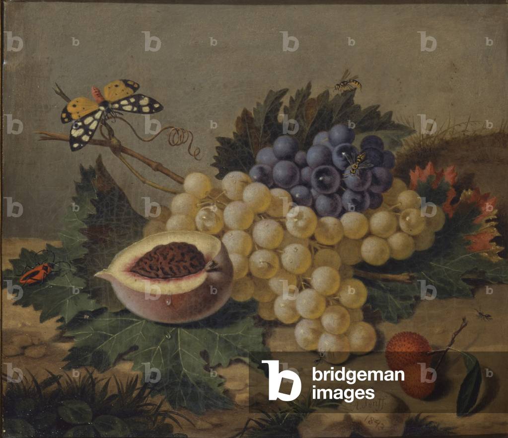 Still Life with a Butterfly and Fruits, 1843 (oil on canvas)