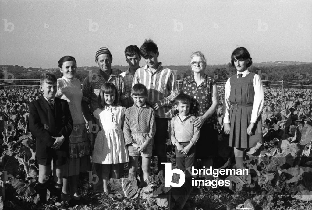 Italian immigrant Pietro Ceccato, who came to Australia in 1949 with his wife from Treviso district, posing with his wife Bertilla, his seven children and an old aunt immigrated in 1935 when she was twenty years-old, The Ceccatos own many hectares of field where they grown tomatoes and cabbages, Australia, 1967 (b/w photo)
