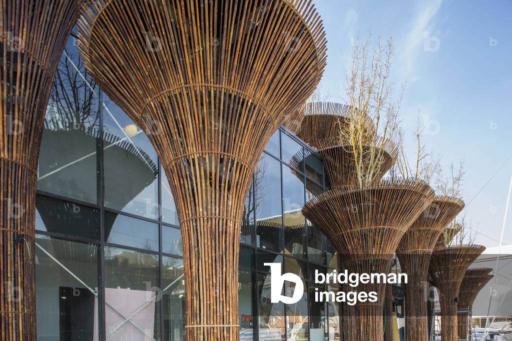 Vietnam, Expo 2015, Milan, Italy, 2015 (photo)