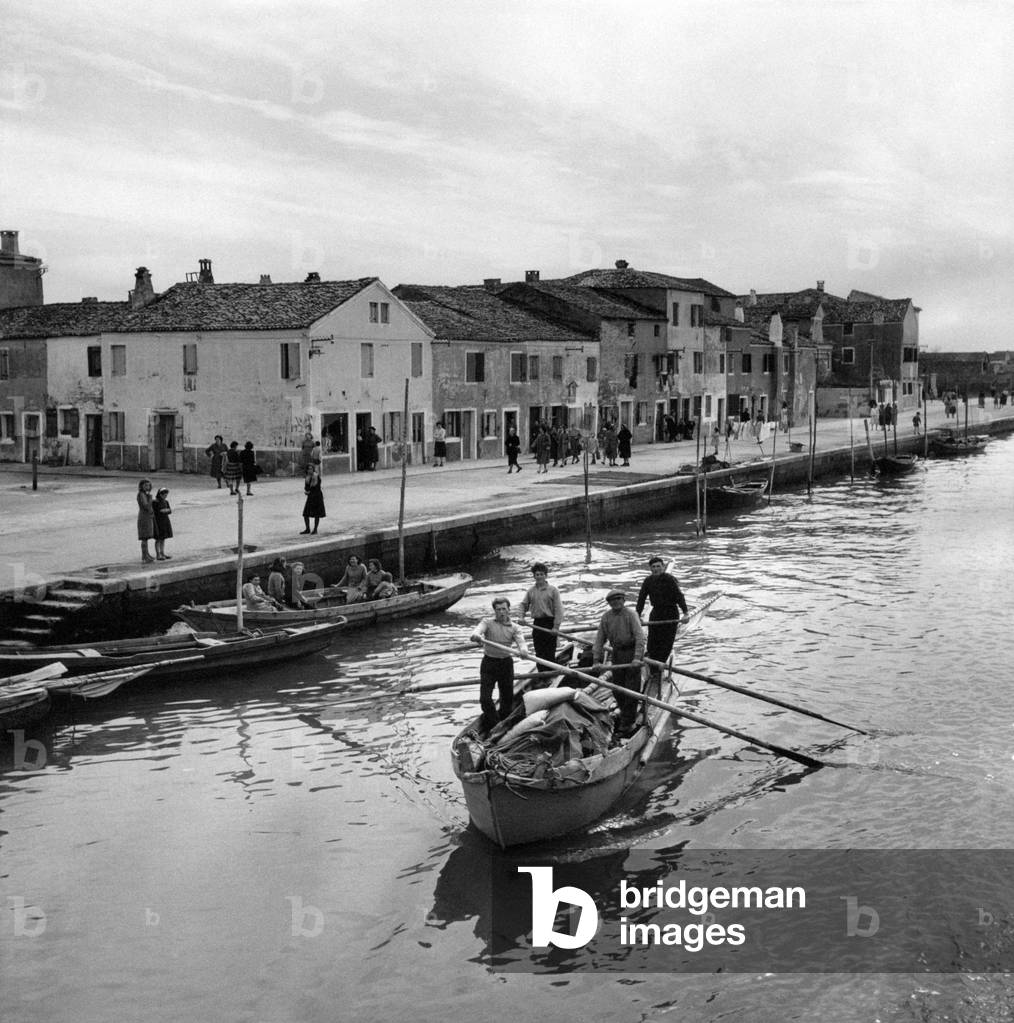 Four oarsmen sailing on a boat along the coast of Malamocco, Venice, March 1954 (b/w photo)