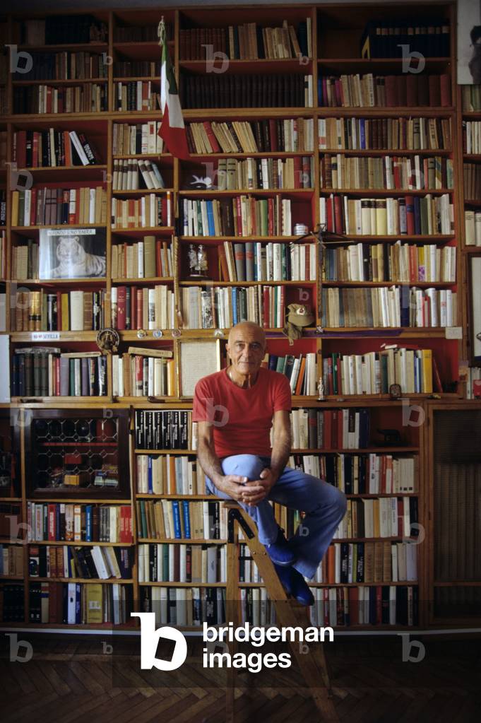 Mino Milani sitting before his library