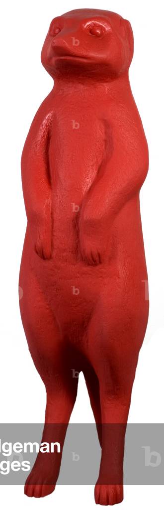 Red Suricate (non-toxic and recycled plastic)