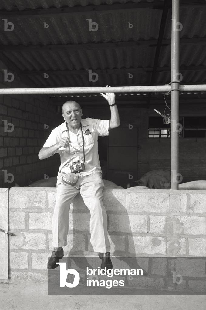 A man in a farm