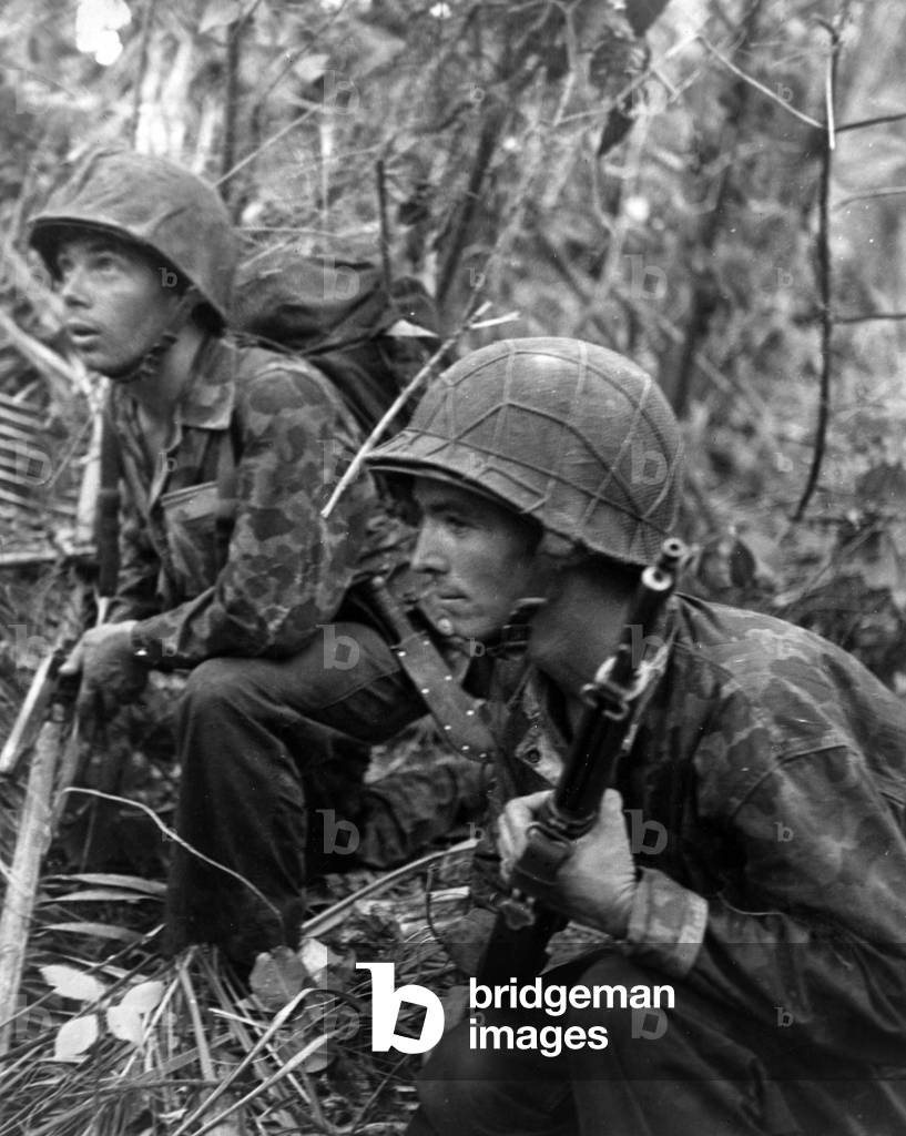 U.S. Marines lying in wait