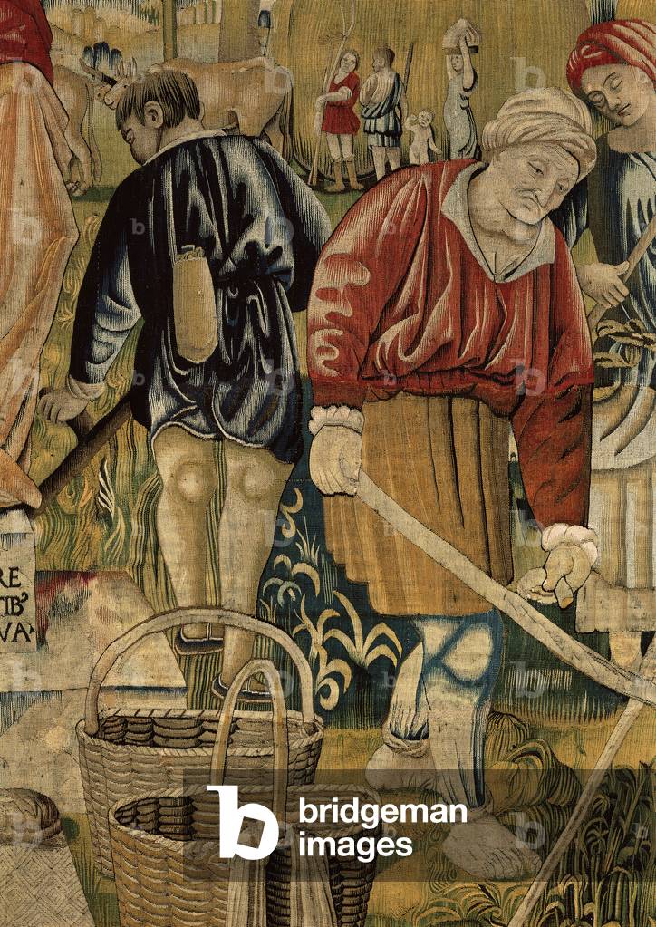 Months. June (I mesi Trivulzio. Giugno), by Benedetto from Milan, from a cardboard by Bartolomeo Suardi, better known as Bramantino, 1504 - 1509, 16th Century, woll and silk tapestry, with a warp made of 5-6 threads per cm.
