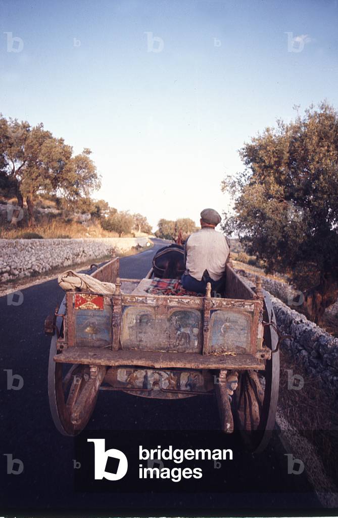 Man riding a Sicilian cart, Italy, 1950 (photo)