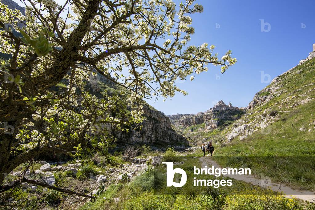 Matera - European Capital of Culture 2019, April 2016, 21th Century