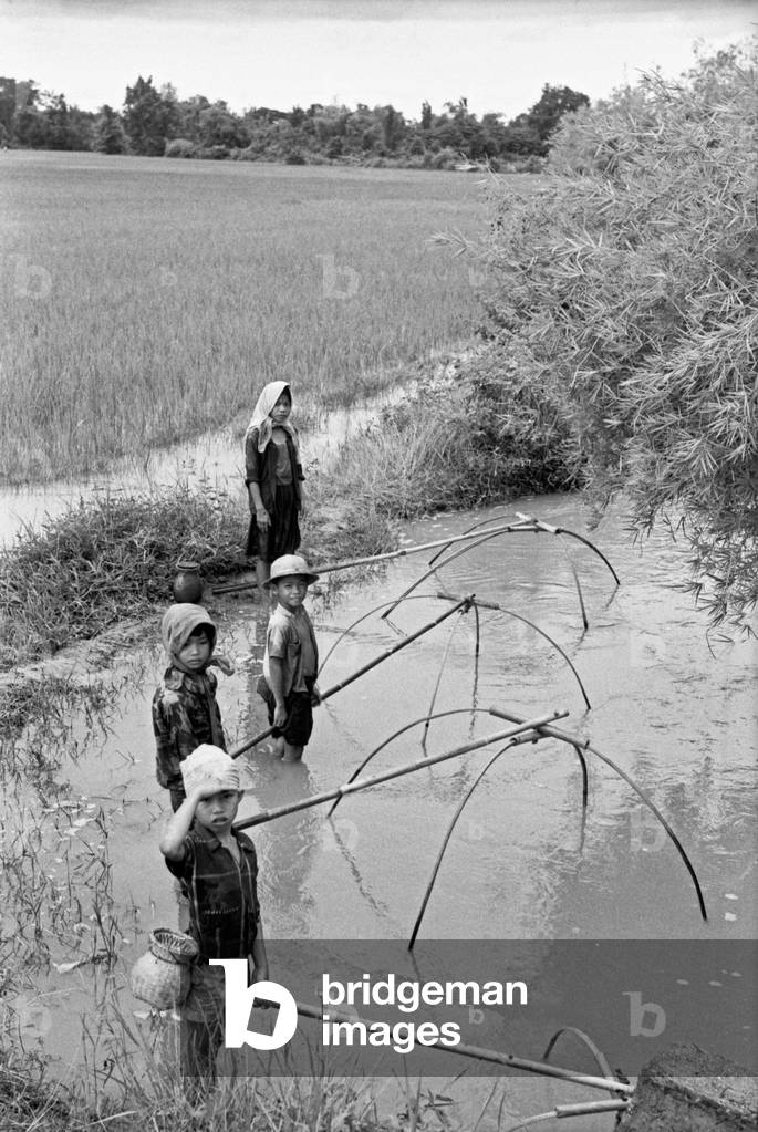 Thai children working in a rice-field, Bangkok, 1961 (b/w photo)