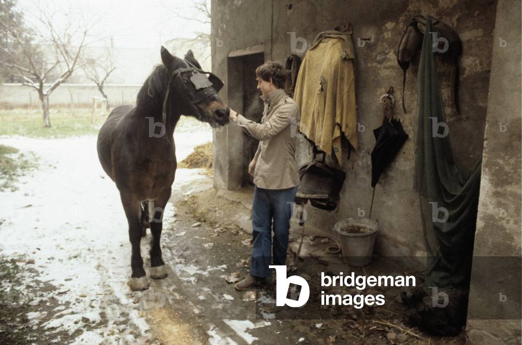 A boy caresses a horse, Italy