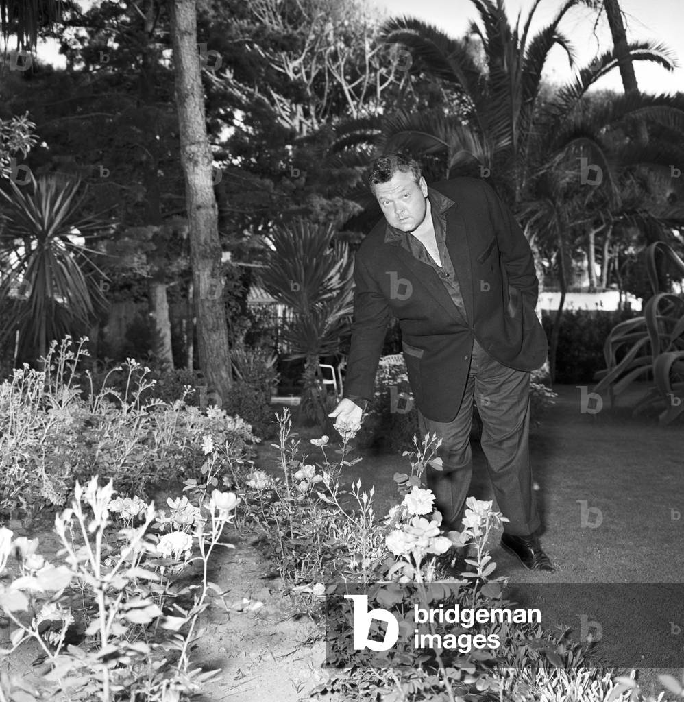 Orson Welles touching a flower, Italy, 1959 (b/w photo)
