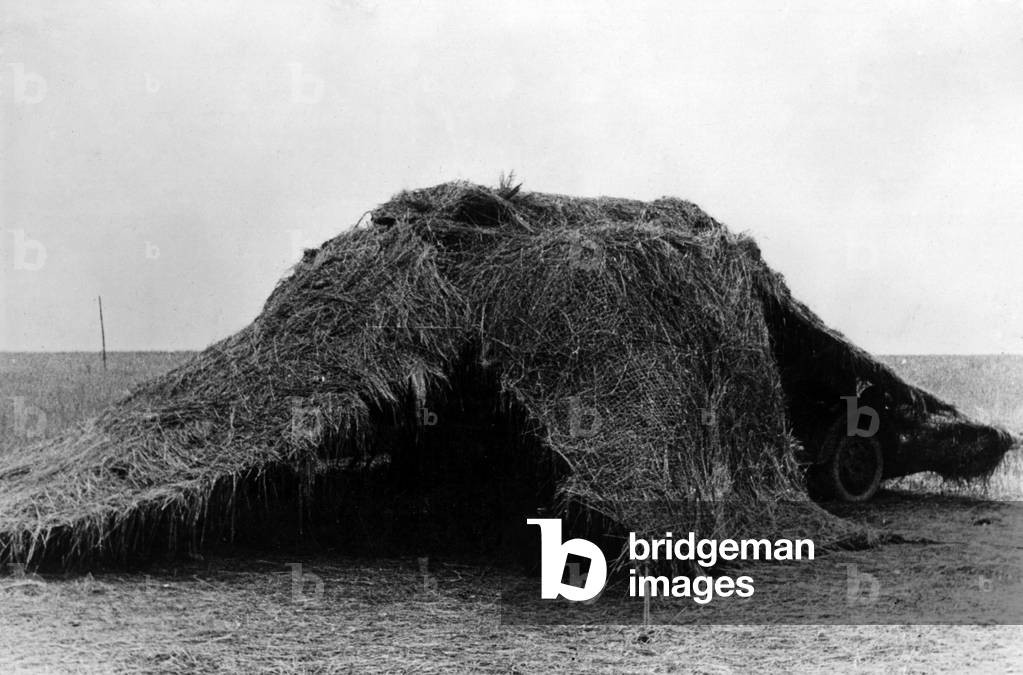 Artillery camouflaged