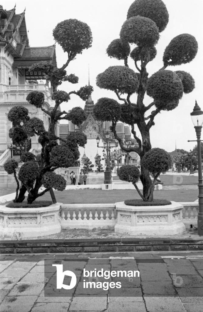 Decorative trees on the square of the Big Royal Palace, Bangkok, 1961 (b/w photo)