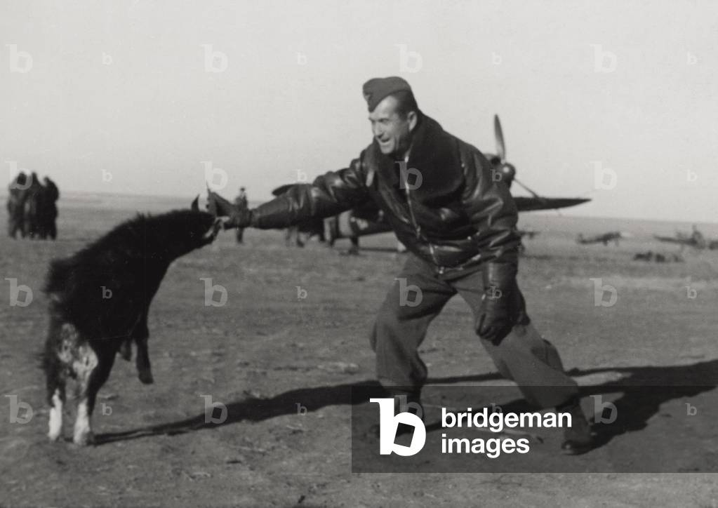 Romanian pilot playing with a nanny-goat