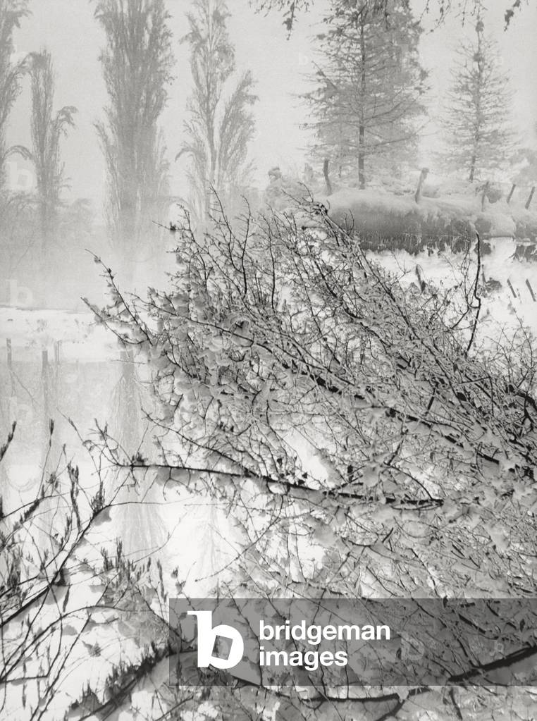 Fall of snow in a park