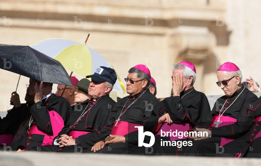 Cardinals at Pope General Audience, Holy See, 2017 (photo)